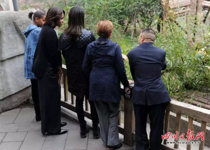 特朗普夫人动物园看熊猫 国宝见过哪些元首夫人?