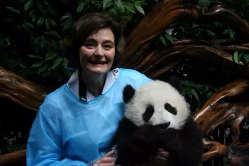 特朗普夫人动物园看熊猫 国宝见过哪些元首夫人?