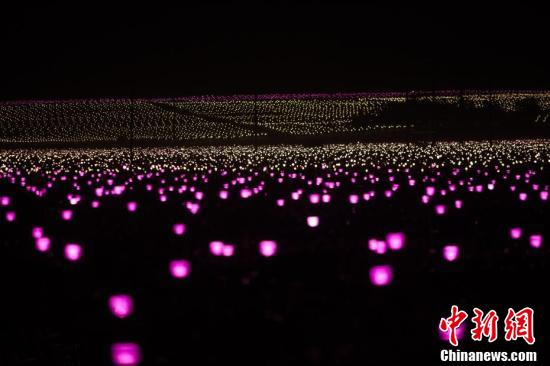 入夜后火龙果种植基地亮起数万盏灯 场面壮观