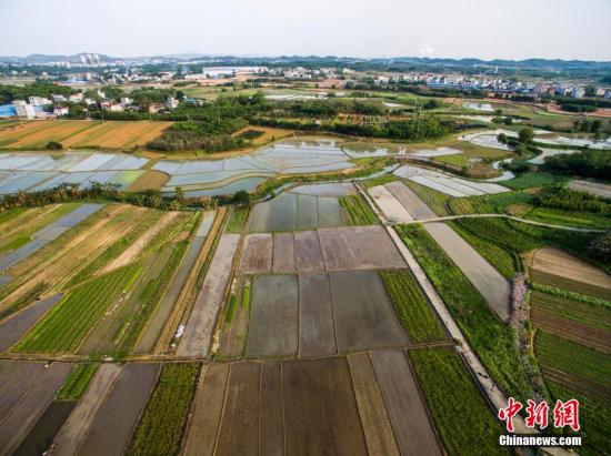 资料图：广西柳州市一处耕地。 黄威铭 摄