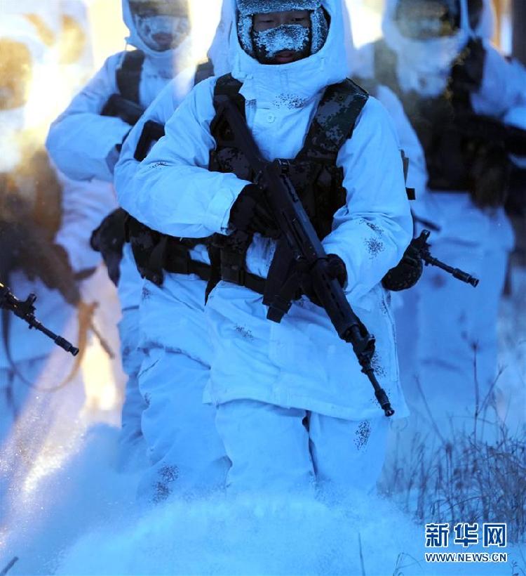 （新春走基层·图文互动）（10）北极哨兵：挺立在风雪中的“北极杨” 