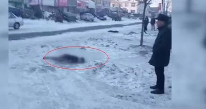 哈尔滨17岁男子疑似醉酒冻死路边被发现时裸卧地面 中国衡阳新闻网
