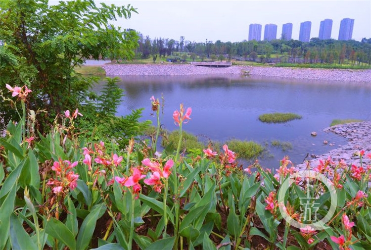 渝北白云湖公园图片
