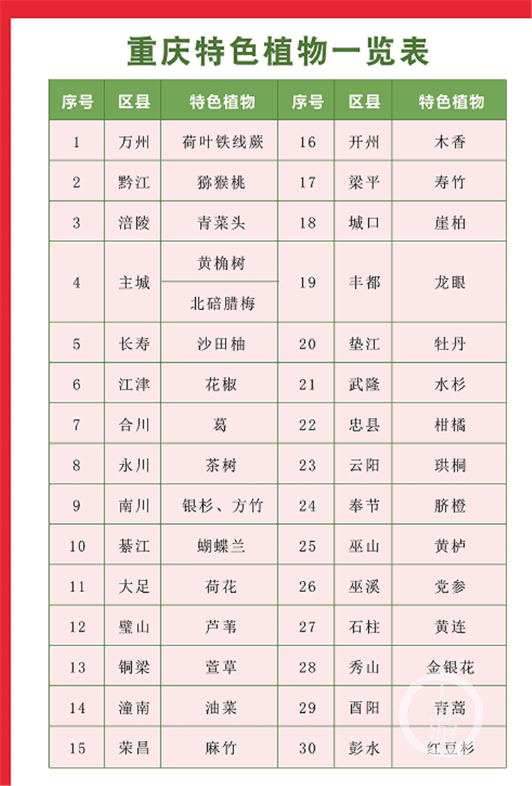 重庆特色植物一览表（重庆地理地图书店供图）.png