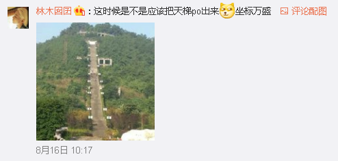 重庆又一建筑火了 这条超级长步梯爬哭网友