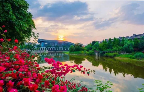 重庆科技学院双桥校区图片