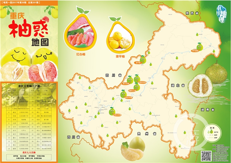 重庆柚惑地图(市地理地图书店供图).jpg
