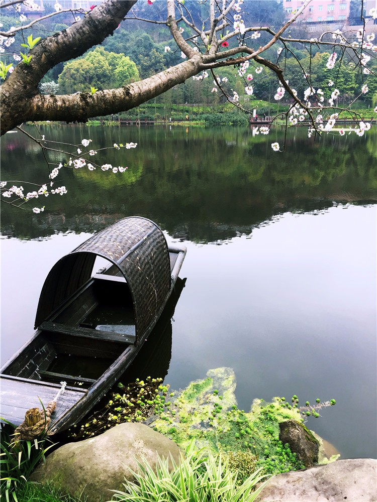 彩云湖国家湿地公园.jpg