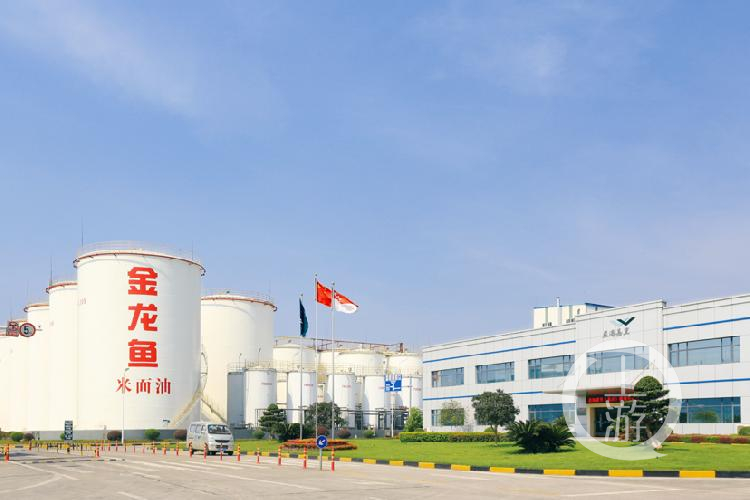 益海嘉里重庆工厂。(4032365)-20200117192404.jpg