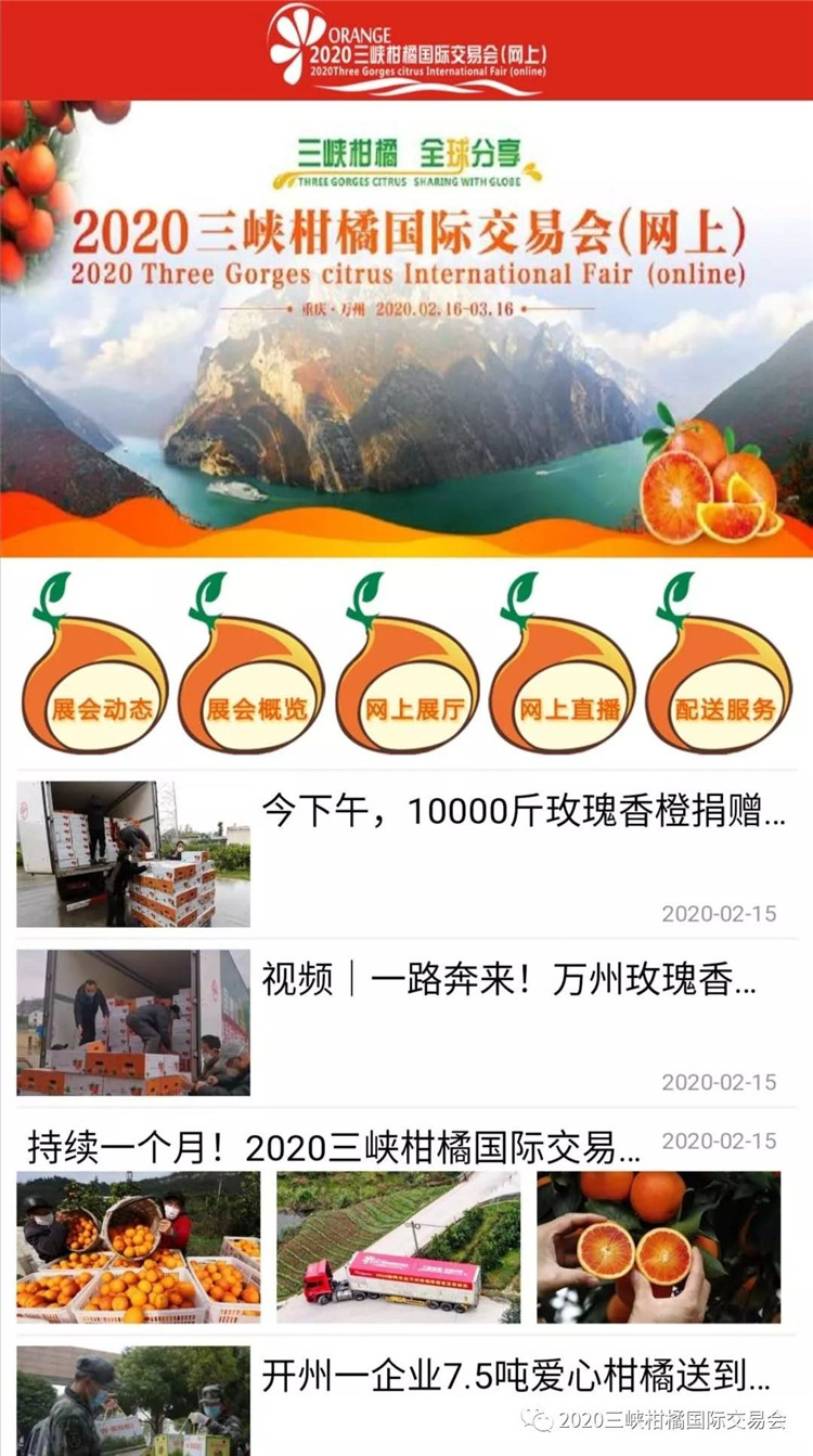 2020三峡柑橘国际交易会（网上）开幕 (4176047)-20200216142333.jpg