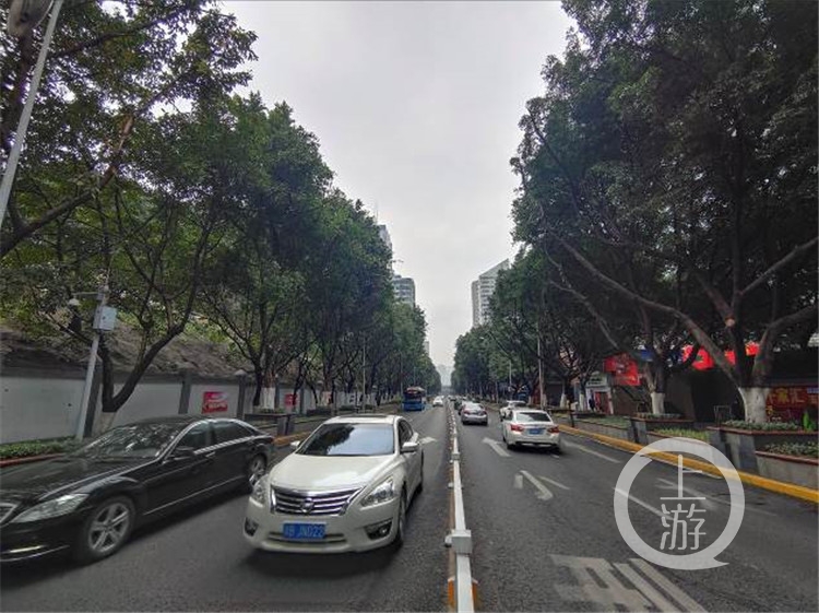 重庆行道树开启“理发”模式  打造最美“(4480672)-20200416123518.jpg