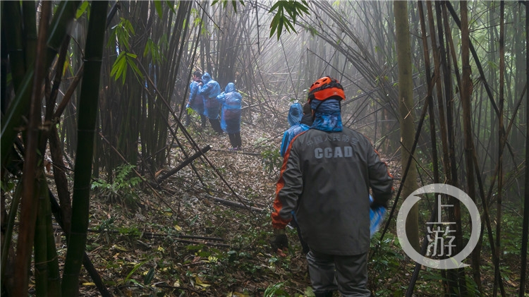 下雨的密林里有一群志愿者在行进……%0A记者(5636413)-20201214212749.jpg