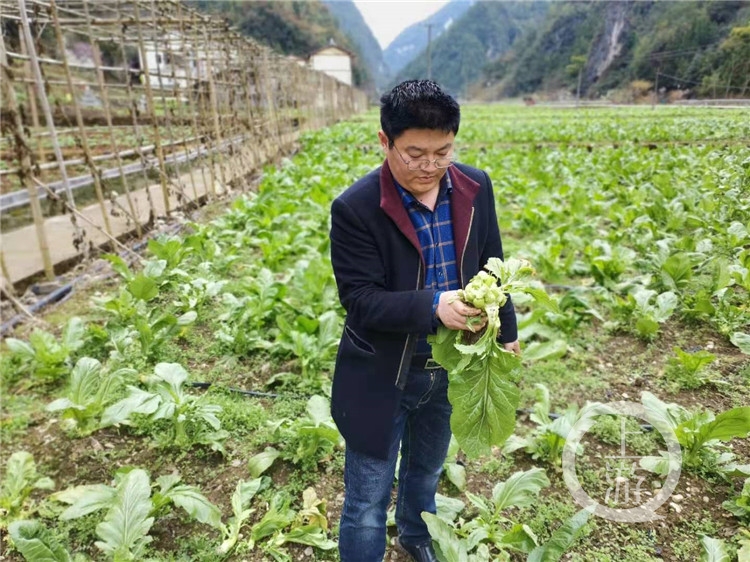 刘吉振在田间地头(6093058)-20210324135357.jpg