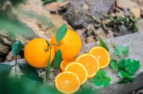 Kaiyun官方网：开州柑橘唐朝时期已是贡品，锦橙你吃过吗？(图4)