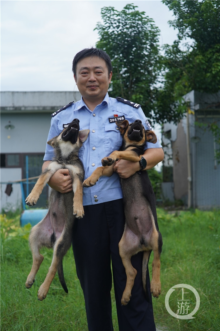 甘肃警察职业学院警犬图片