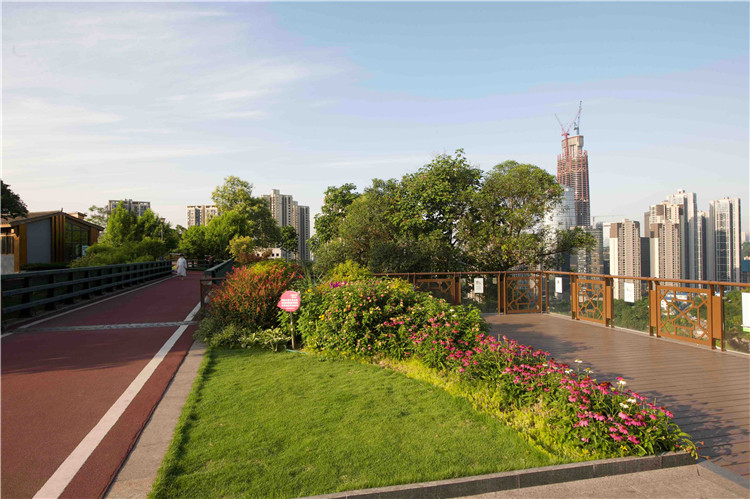 重庆城市绿地可以认养了 还可以给它起名字(6851206)-20210906084708.jpg