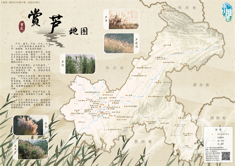 跟着地图去赏重庆版的“蒹霞苍苍”(7262665)-20211210125242.jpg