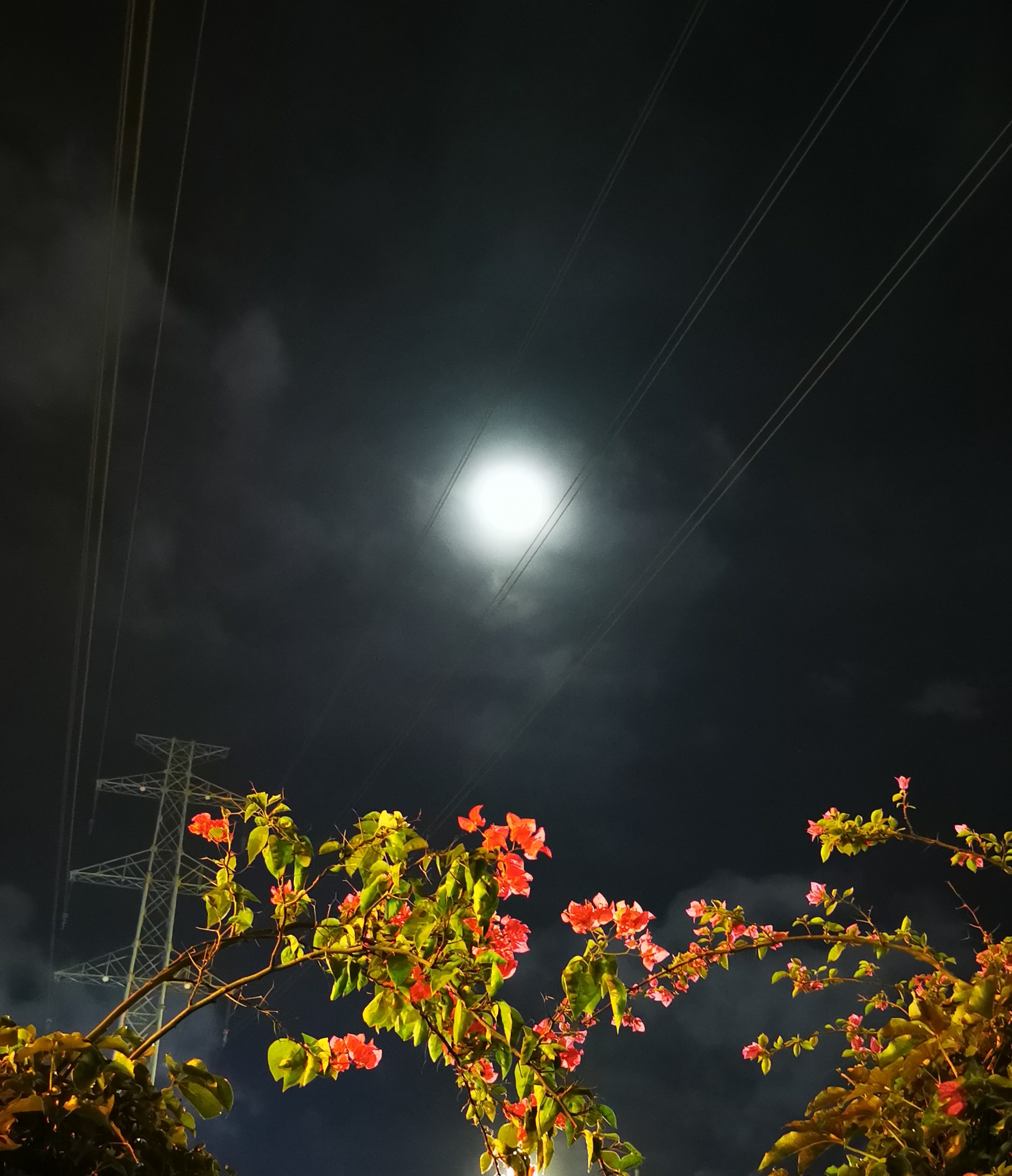 月圆之夜图片 真实图片