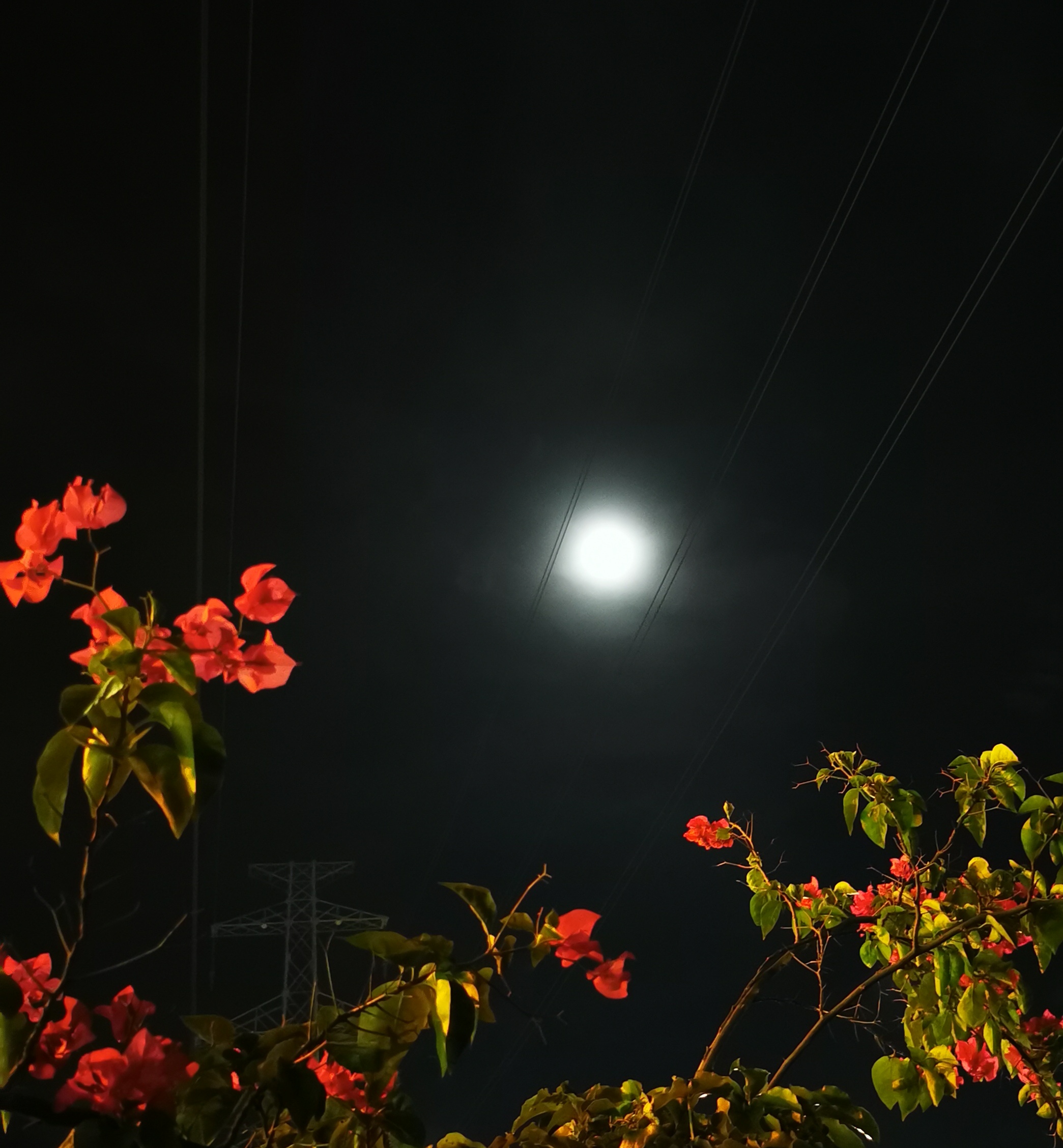 月圆之夜图片大全唯美图片