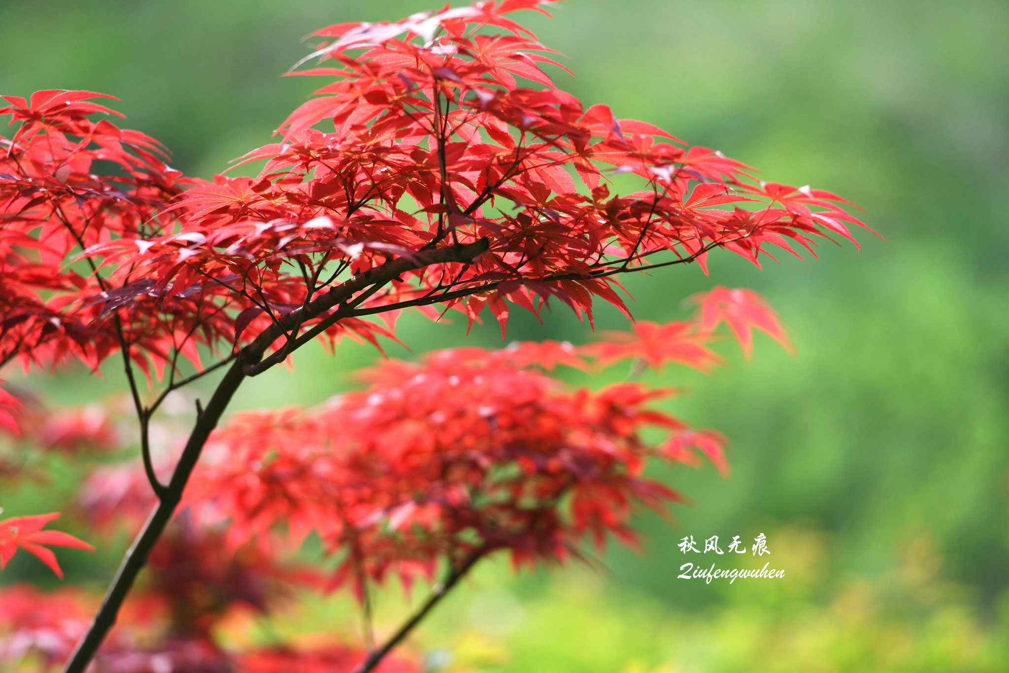 四月图片风景图片