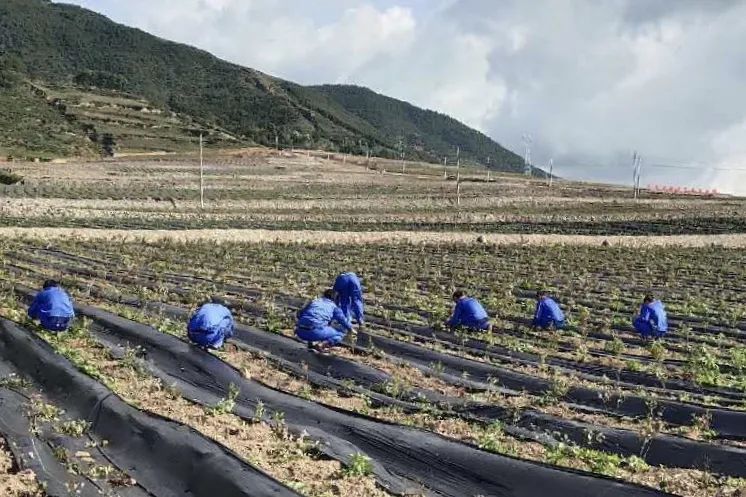 布拖县人口_国家正式确认 凉山这17个镇将升级,雷波锦城镇也在内(2)