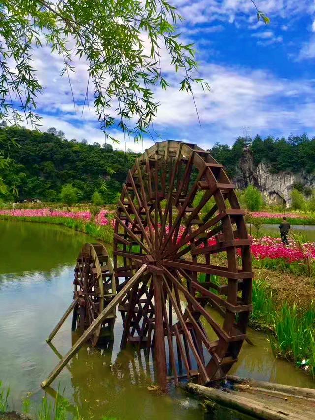 花坝旅游景区图片