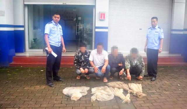 170余只岩蛙差点被送上餐桌，合江县5人犯非法狩猎罪