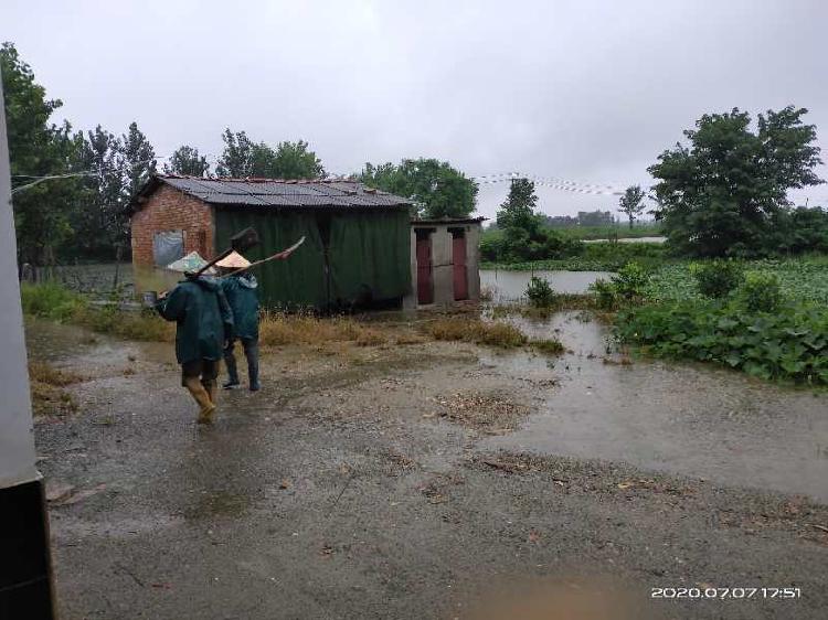 3|武汉市新洲区涨渡湖林场：水火无情人间有爱，党员在行动