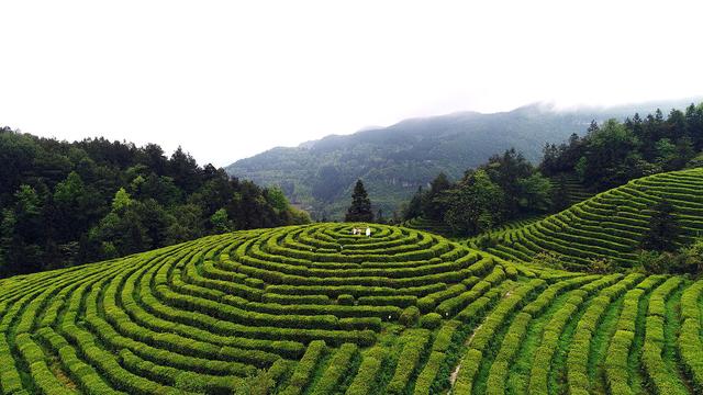 重庆自由行|重庆周边游：自驾白马山相约飞天之吻活动开始报名啦！