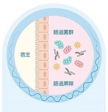 妈咪|用对妈咪爱等益生菌，帮助宝宝建立健康的肠道菌群