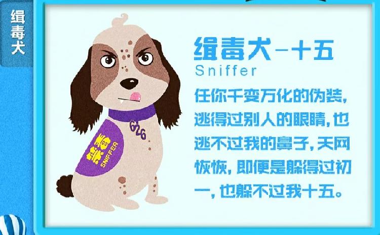 全流程揭秘：如何成为一只优秀的缉毒犬？|全流程揭秘：如何成为一只优秀的缉毒犬？