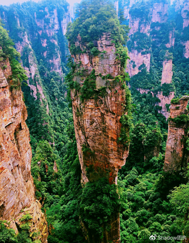 湖南张家界|张家界旅游哪个季节最合适呢？阿凡达是在张家界吗？