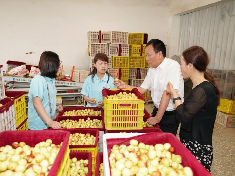 陕西农业|大荔县地理标志产品不断发挥出品牌优势，成为地方经济发展的关键