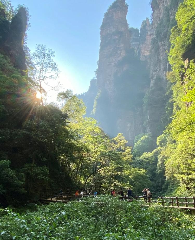 湖南张家界|2020年最新旅游攻略之暑假去张家界旅游——四天时间首选行程