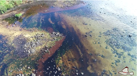 日本货船泄露千吨原油污染海洋 毛里求斯进入环境紧急状态