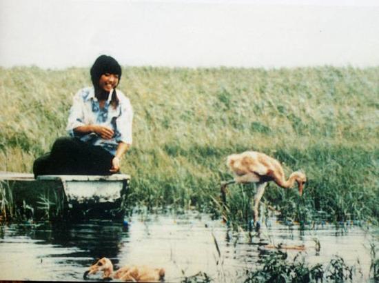 这是徐秀娟与湿地中的鹤（资料照片）。新华社发
