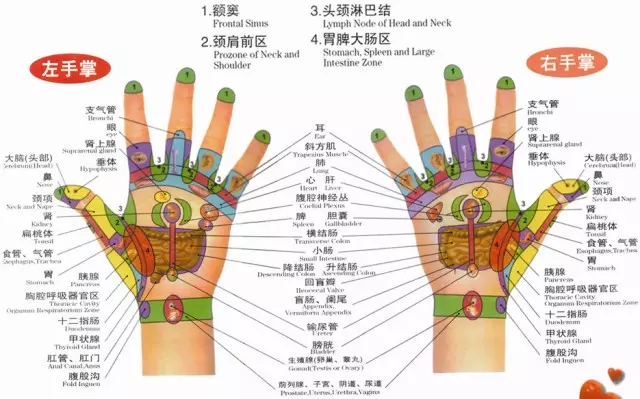河北日报微信公众号消息,手部有很多与人体器官内脏相连的经络穴位,对