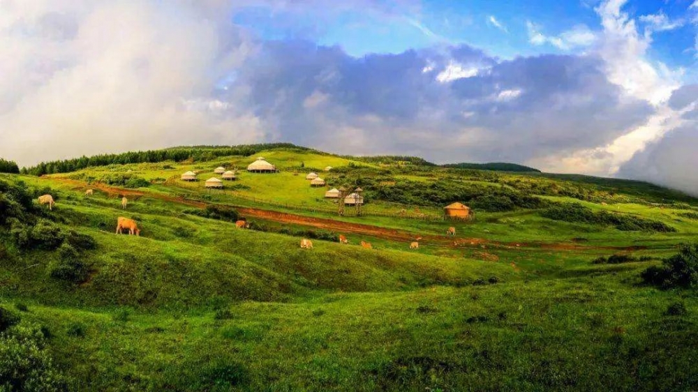 沁源花坡风景区图片