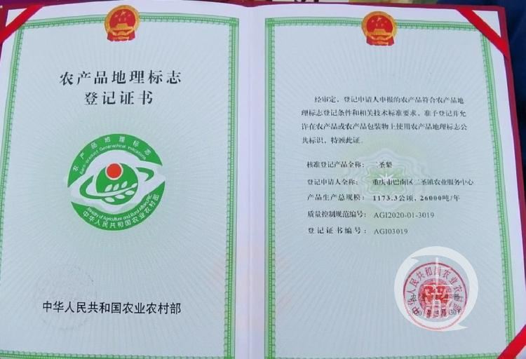 重庆首个村级农产品质量安全监管站成立  -FZ10044948773.jpg
