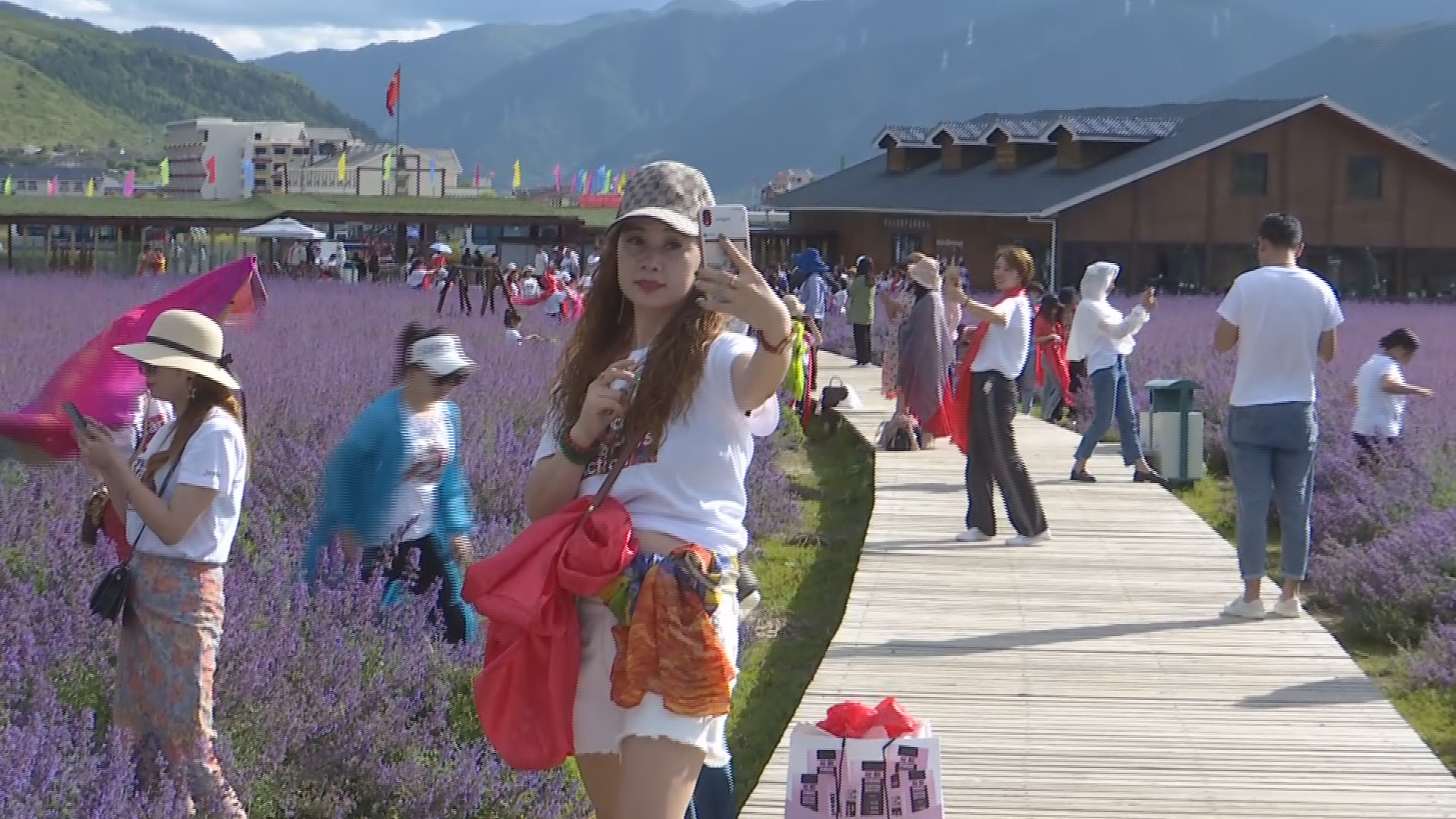 薰衣草基地|【旅游】全国各地游客络绎不绝来到松潘薰衣草基地避暑纳凉