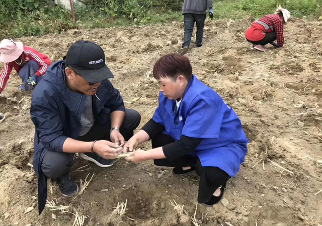 金牧粮草|金牧粮草生态种养循环项目获西藏第三届科技创新创业大赛一等奖