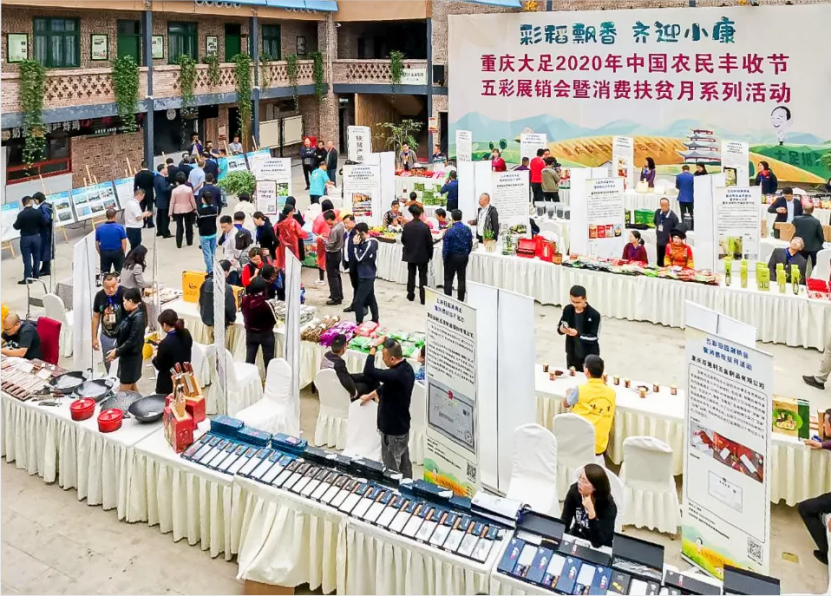 大足|六万人国庆打卡，大足隆平五彩田园热度持续升温