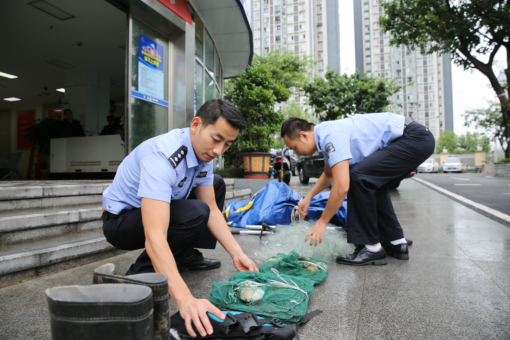 非法捕捞|打击长江流域非法捕捞 | 男子非法捕获国家二级保护动物胭脂鱼被抓