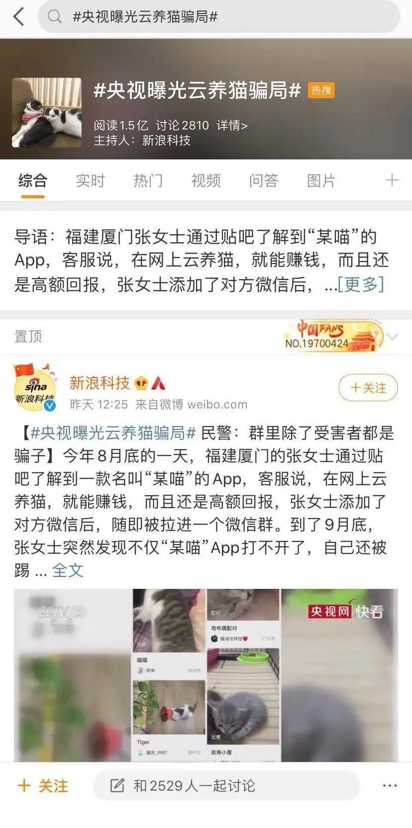 诈骗|养猫骗局！6000多人被骗了1个多亿！