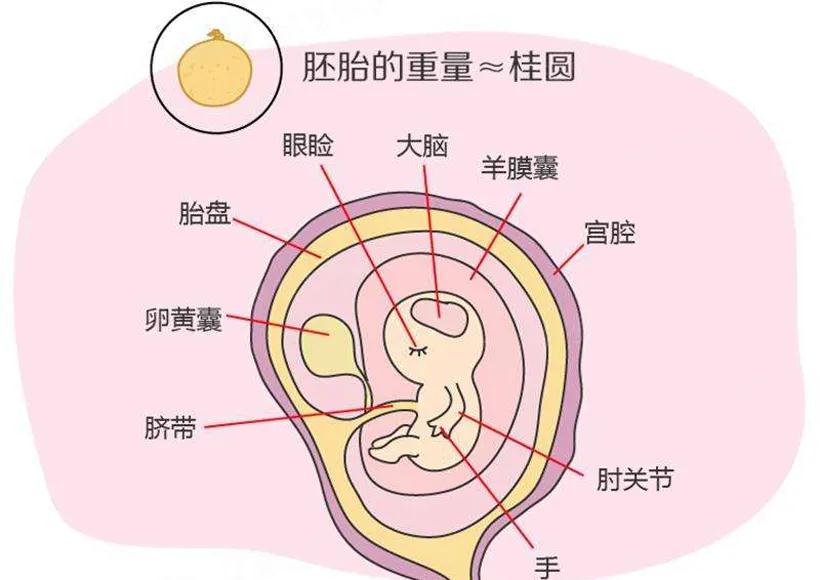 合川宏仁医院健康科普