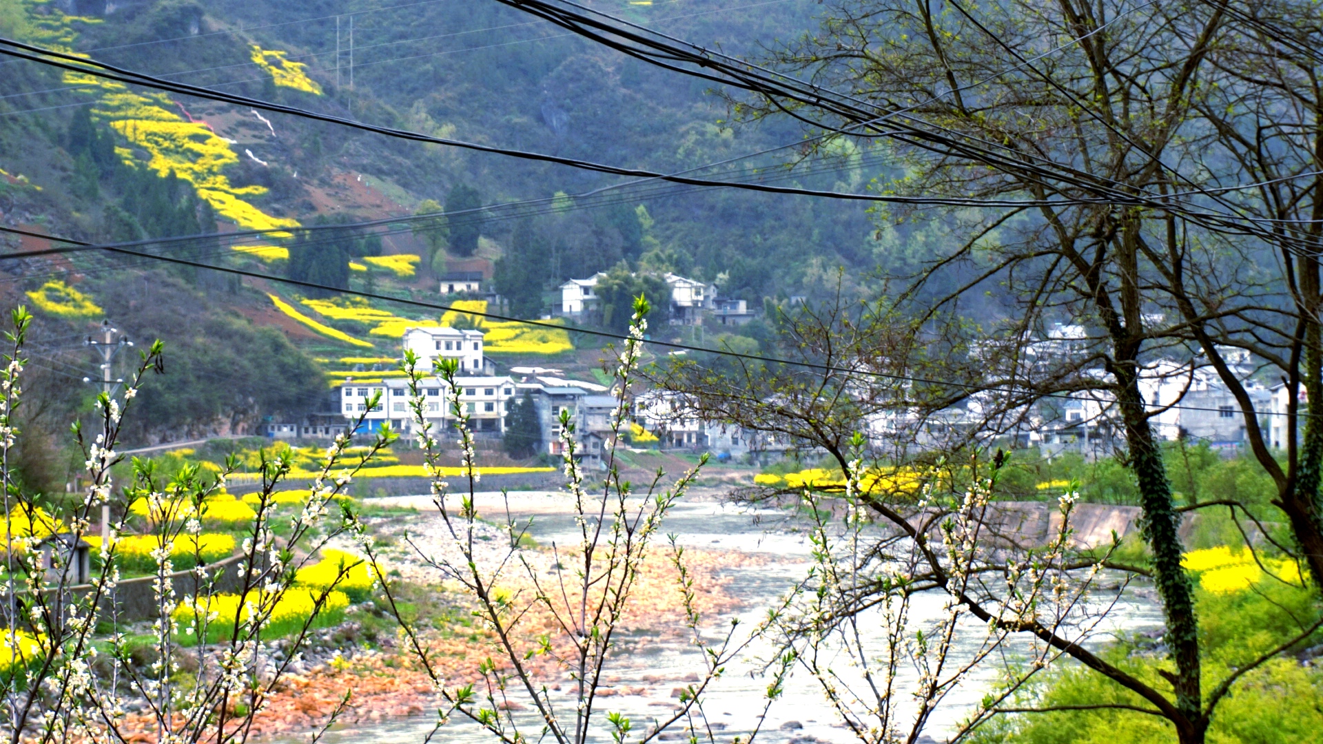 重庆城口坪坝图片