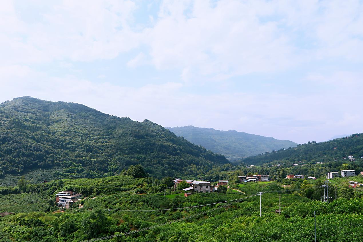 夏乡—走进万州柠檬之乡"白羊镇大弯村"