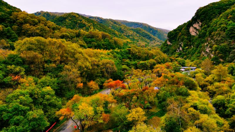 陝西旅遊博主帶您玩轉神奇寧夏秋遊涇源六盤山國家森林公園