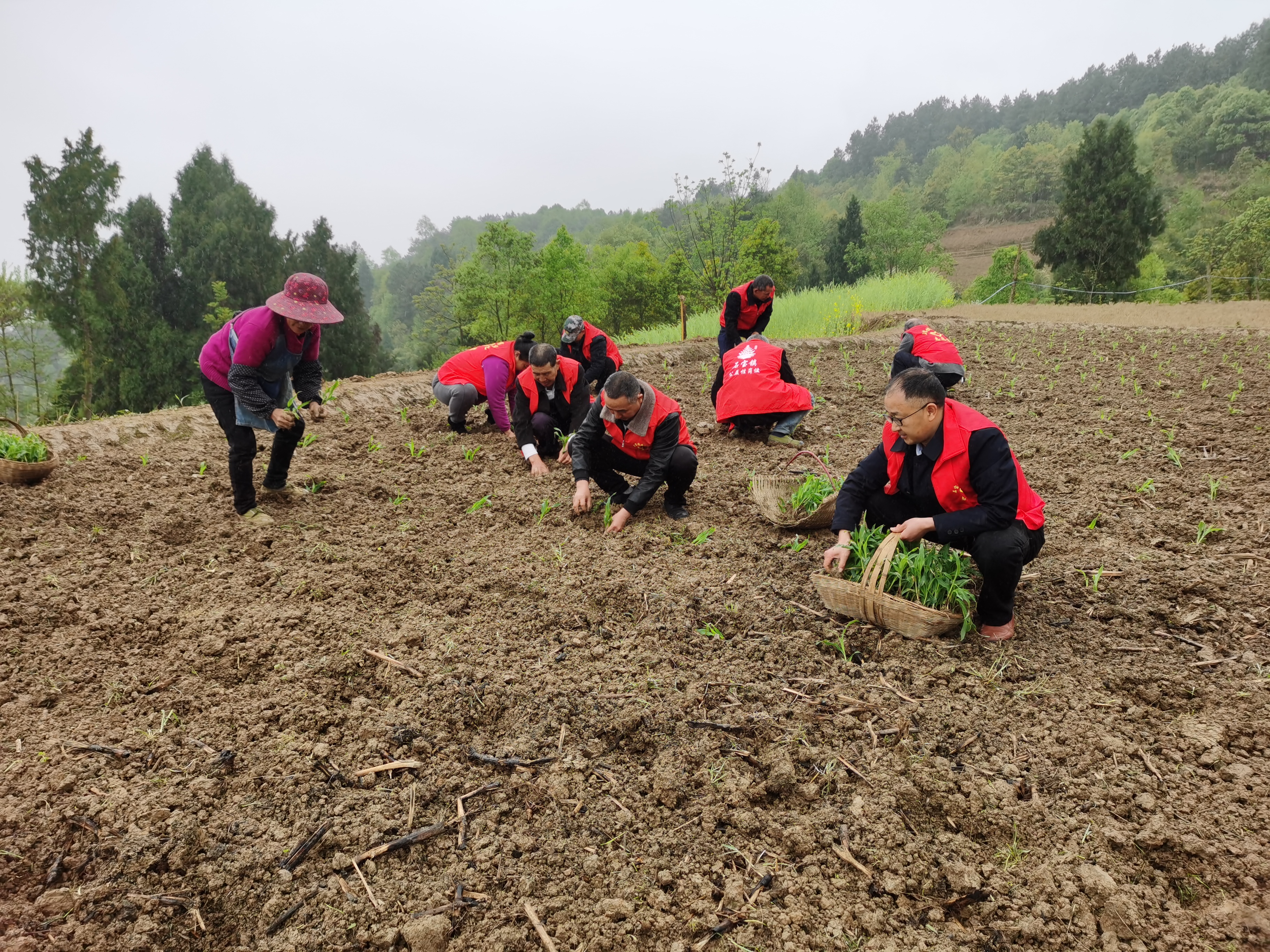 西安邓小东图片