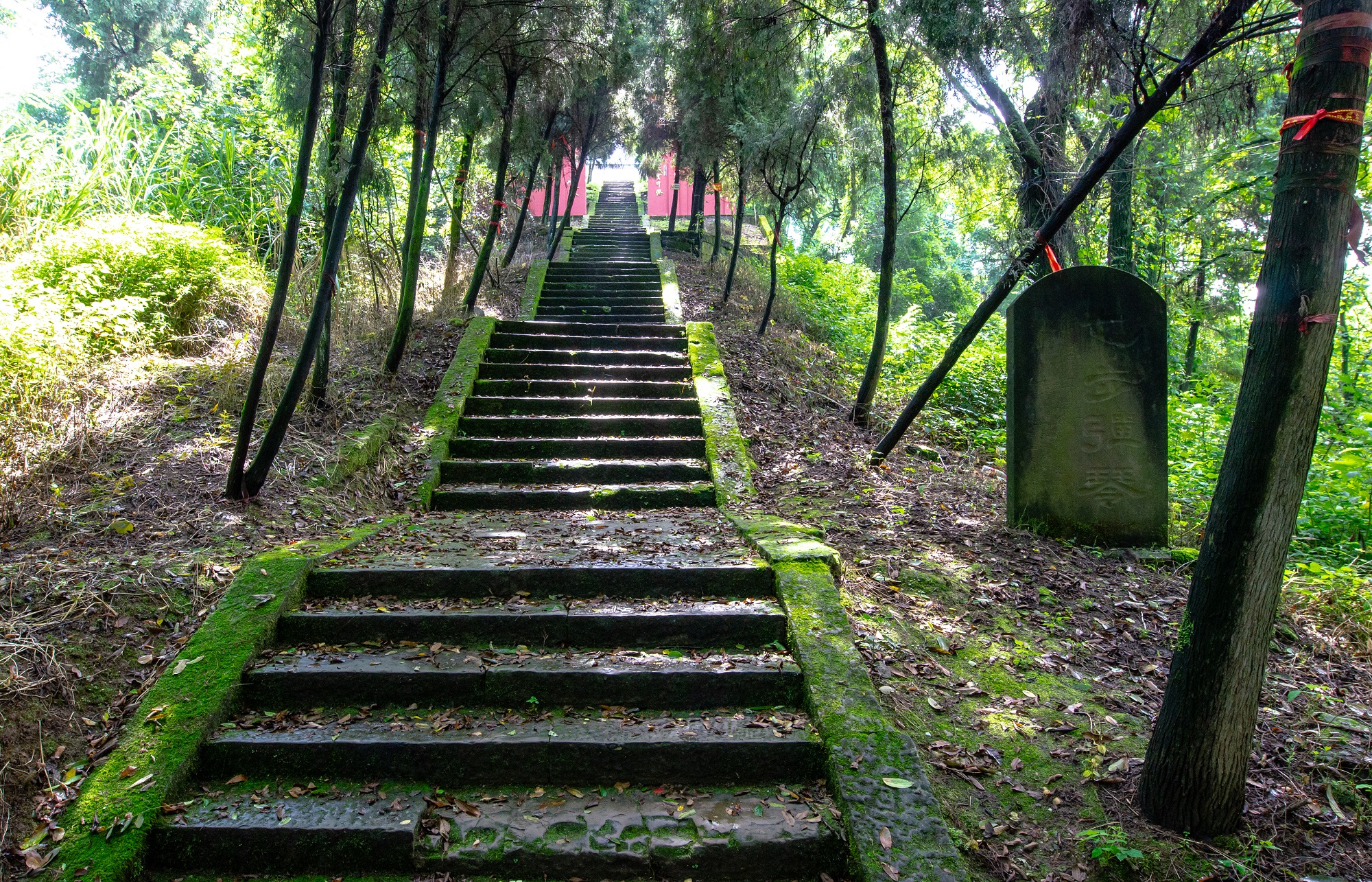 合川区龙多山景区图片